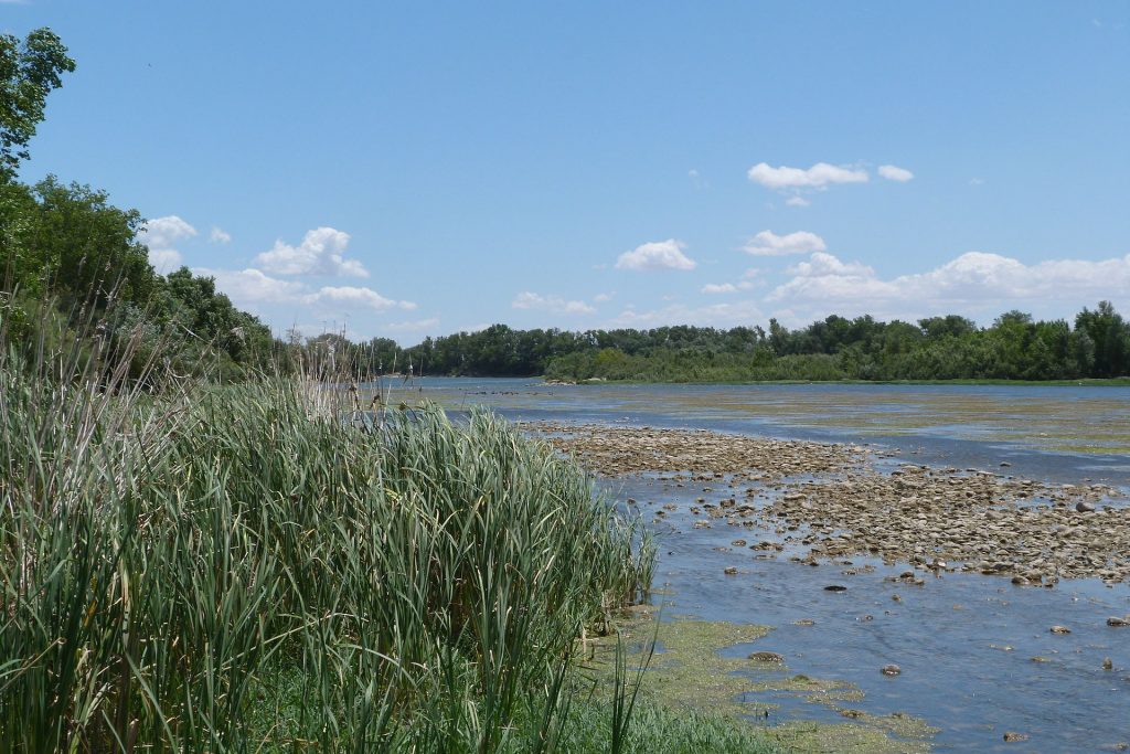 Galacho de la Alfranca, en la provincia de Zaragoza